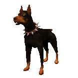 doberman_barking_lg_clr.gif